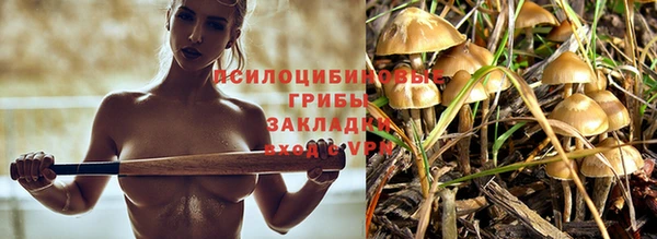 а пвп мука Баксан