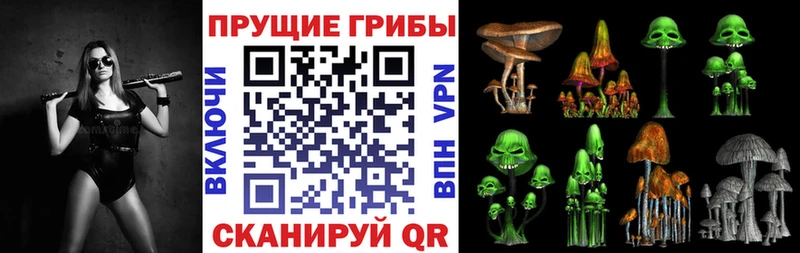 Псилоцибиновые грибы Psilocybe  где найти   кракен ONION  Устюжна 